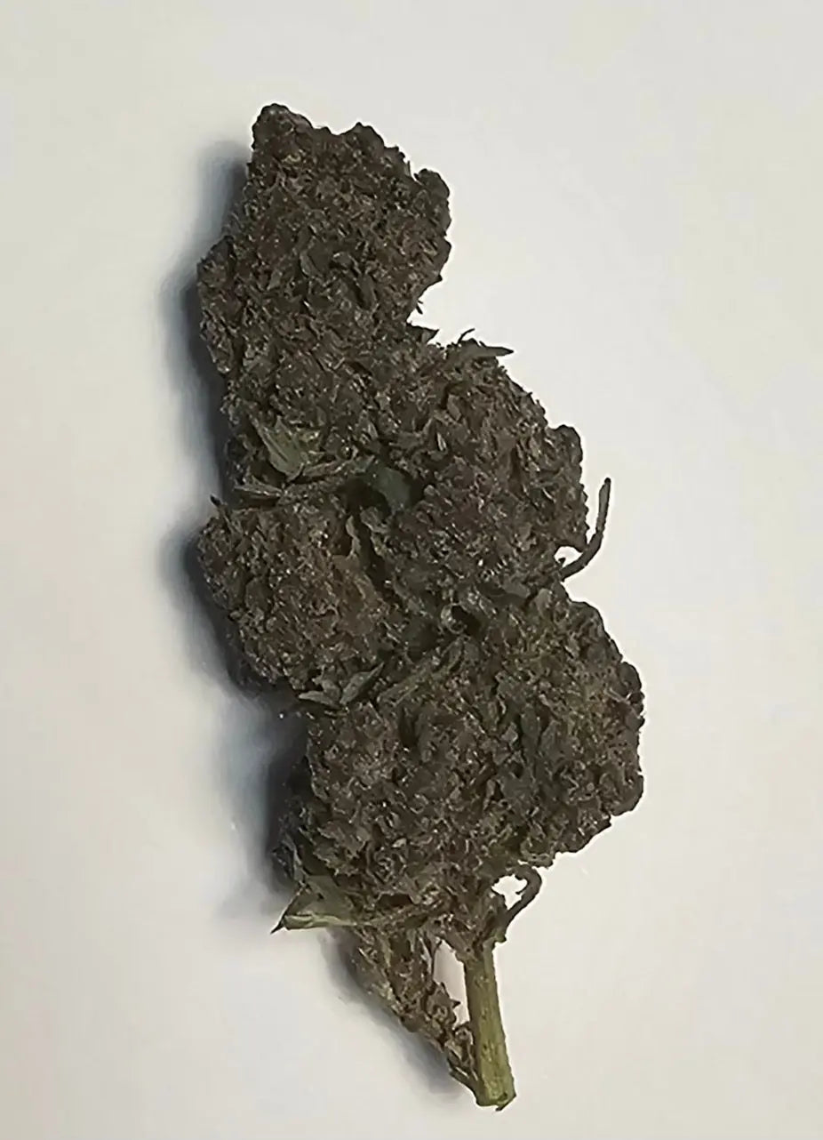 Purple Punch