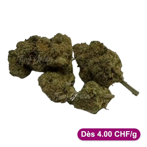 CBD Ice Muffins Fleur Premium Indoor - Dès 4.00 CHF/g - Tiny Green