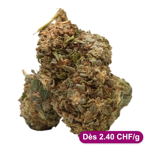 CBG fleurs en vrac - Dès 2.40 CHF/g - Tiny Green