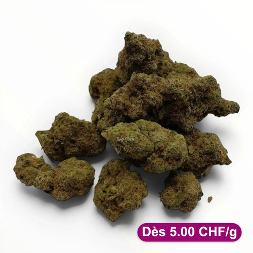 Fleur CBD Supreme Lemon - Dès 5.00 CHF/g - Tiny Green