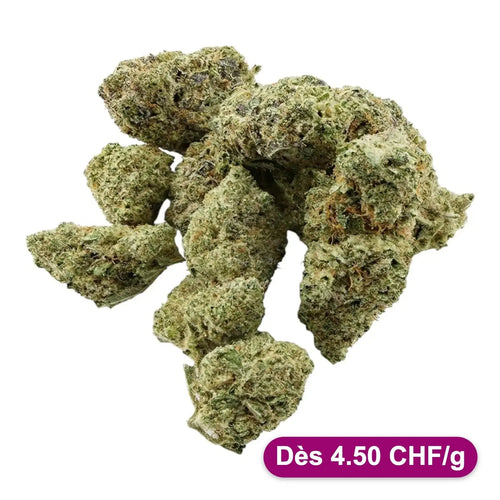 Fleur de CBD Lemon Kush - Dès 4.50 CHF/g - Tiny Green