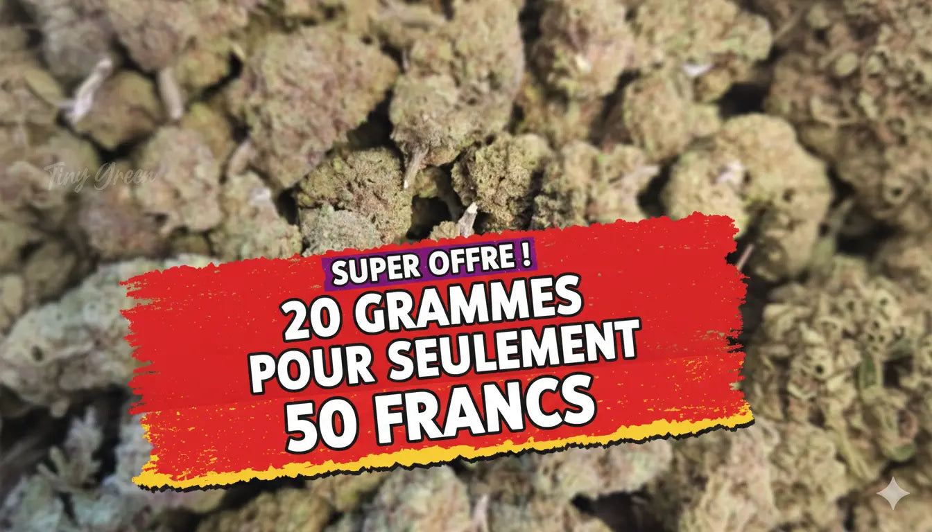 Titre produit, Tinygreen, Yvedon, CBD, Suisse, vape