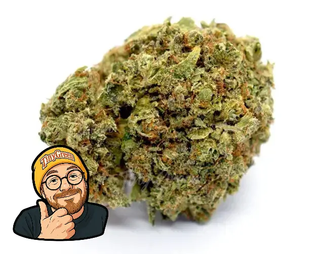 Titre produit, Tinygreen, Yvedon, CBD, Suisse, vape, Lausanne, puffs,