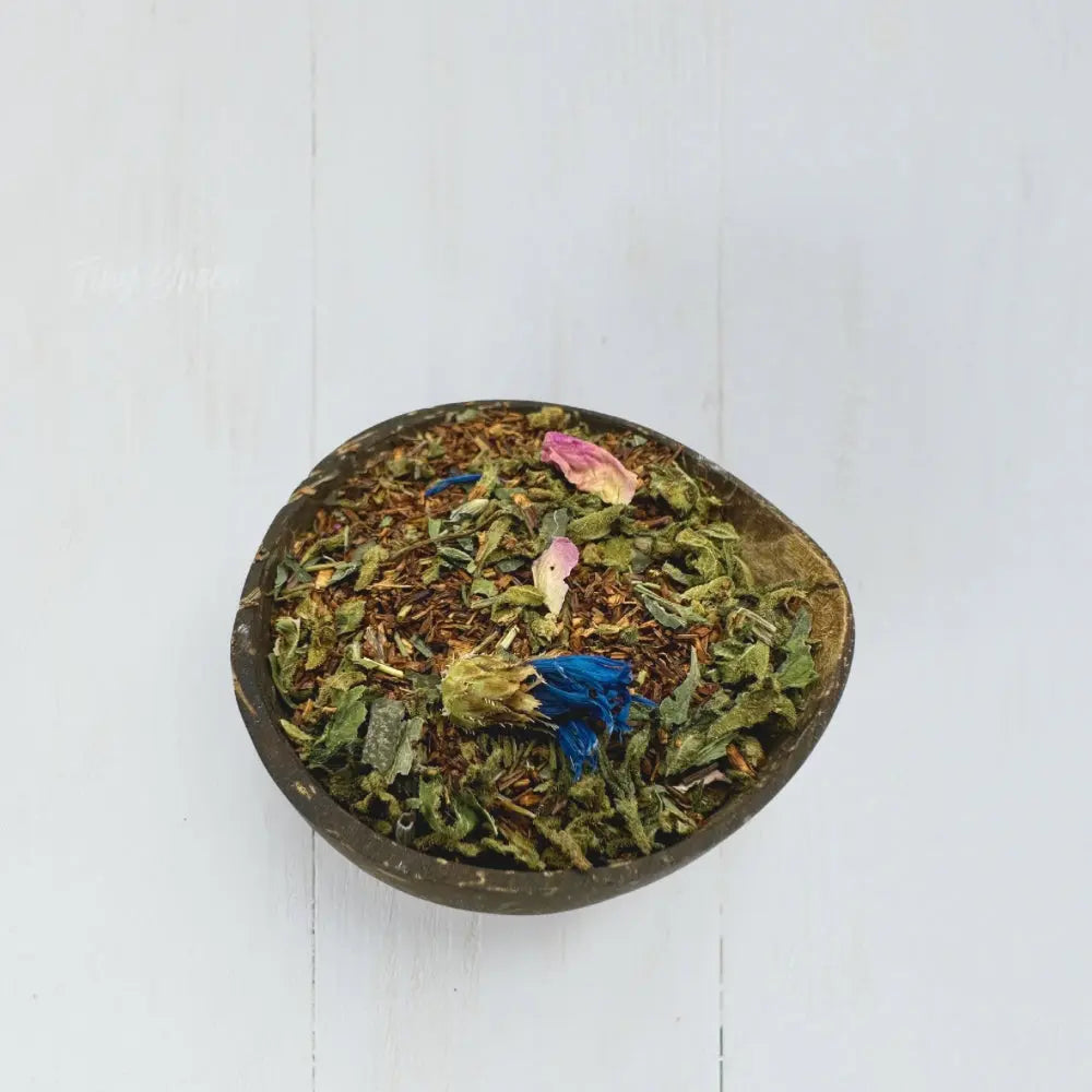 Tinygreen, Yvedon, CBD, Suisse, vape, chanvre, infusion