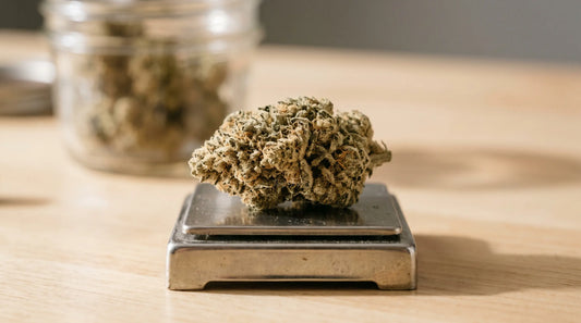 Fleur de CBD dense posée sur une balance de précision sur un comptoir en bois