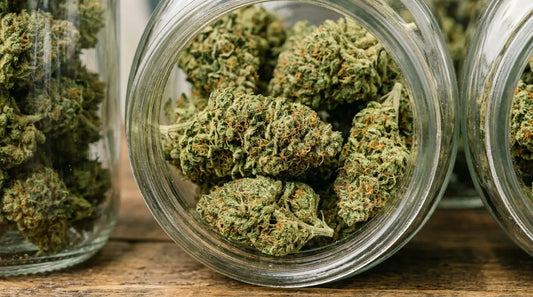 Bocaux de fleurs de CBD en boutique