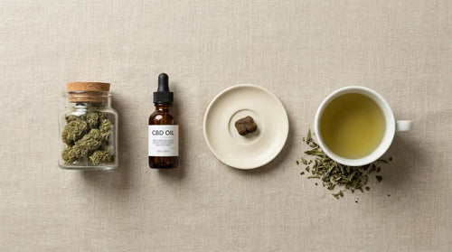 Fleurs, huile, résine, infusion : quel CBD choisir selon tes moments