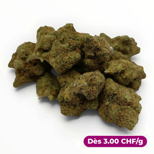 Fleur CBD Maui - Dès 3.00 CHF/g - Tiny Green