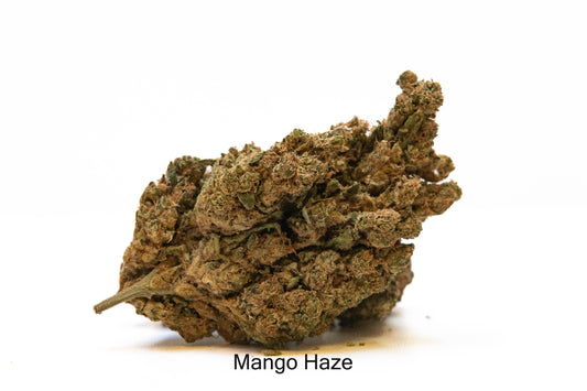 Mango Haze
