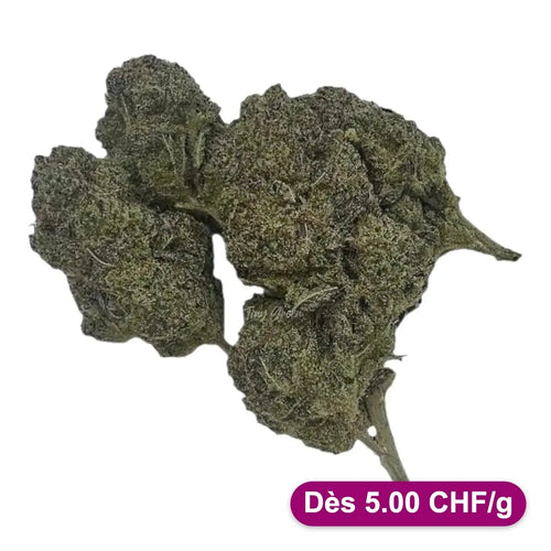 CBD Fleurs White Skunk vrac - Dès 5.00 CHF/g - Tiny Green