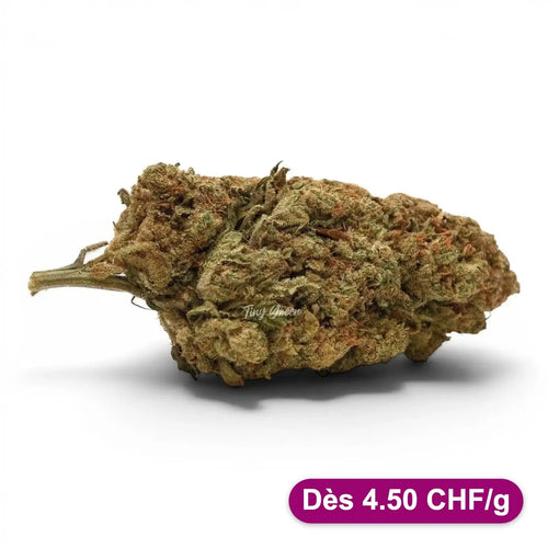 CBD fleurs Amnesia vrac - Dès 4.50 CHF/g - Tiny Green