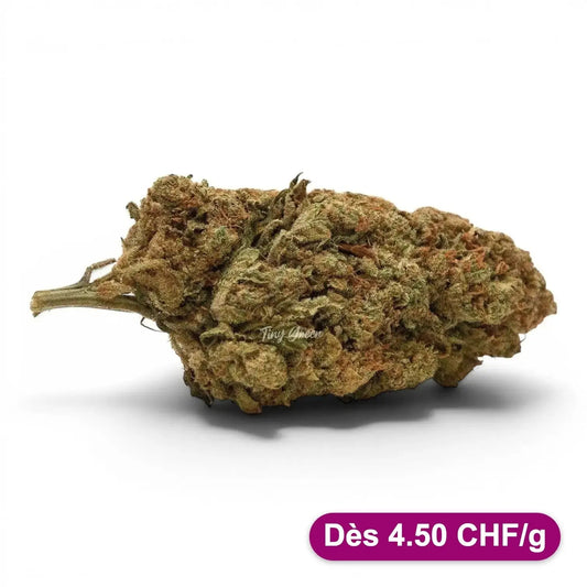 CBD fleurs Amnesia vrac - Dès 4.50 CHF/g - Tiny Green