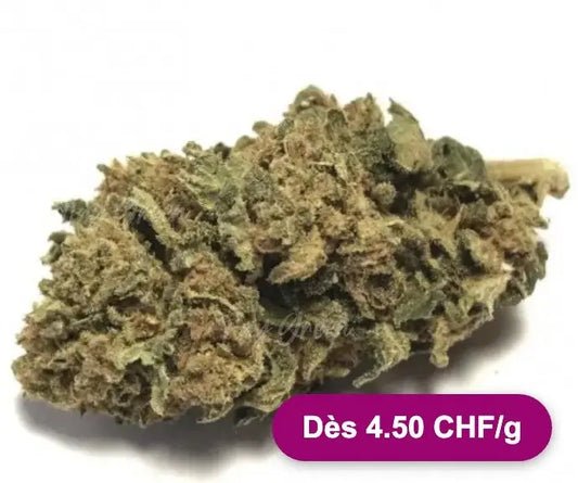 Cbd Fleurs Crystal Kush - Dès 4.50 CHF/g - Tiny Green