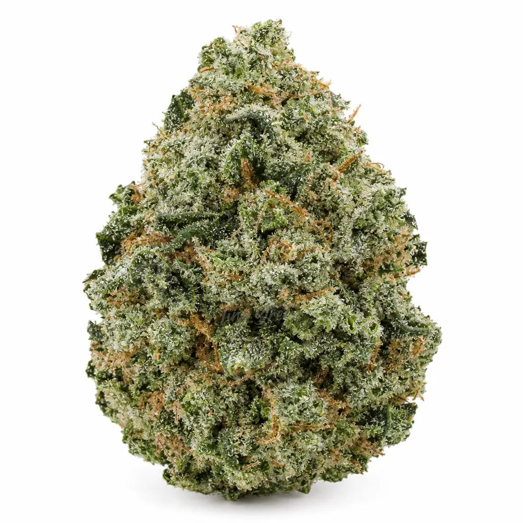 Cryo Canna vrac - Tiny Green