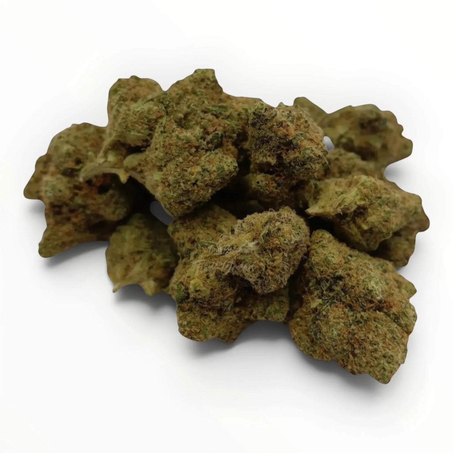 Fleur CBD Maui de Tiny Green, têtes denses aux teintes vertes et brunes, riches en terpènes.