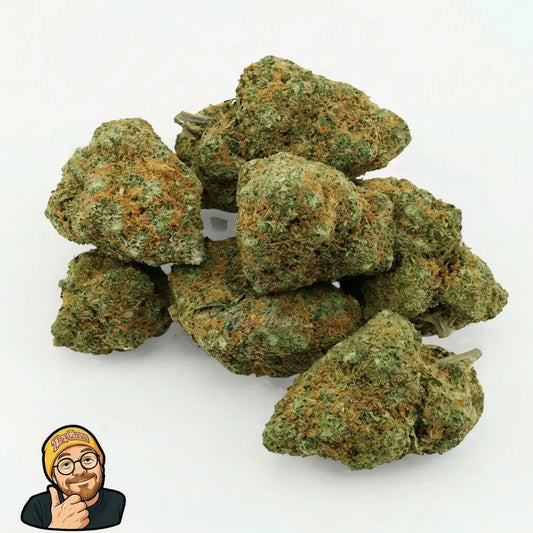 Tiny Green Zushy CBD flower buds, dense and resinous with green and orange hues, offering pine, citrus, and biscuit aromas.