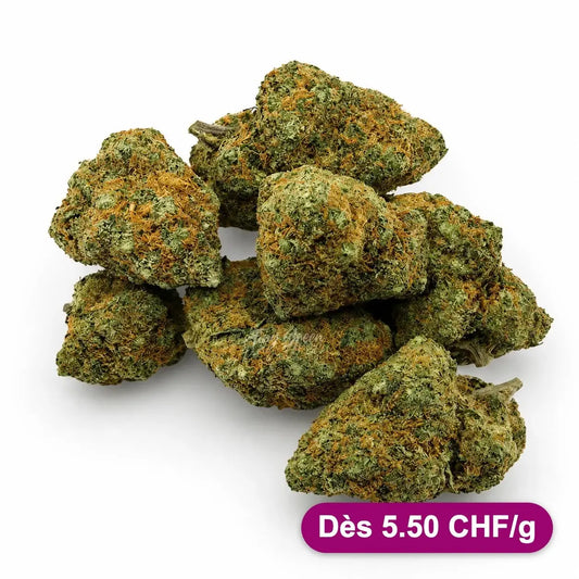 Fleur de CBD Zushy - Dès 5.50 CHF/g - Tiny Green