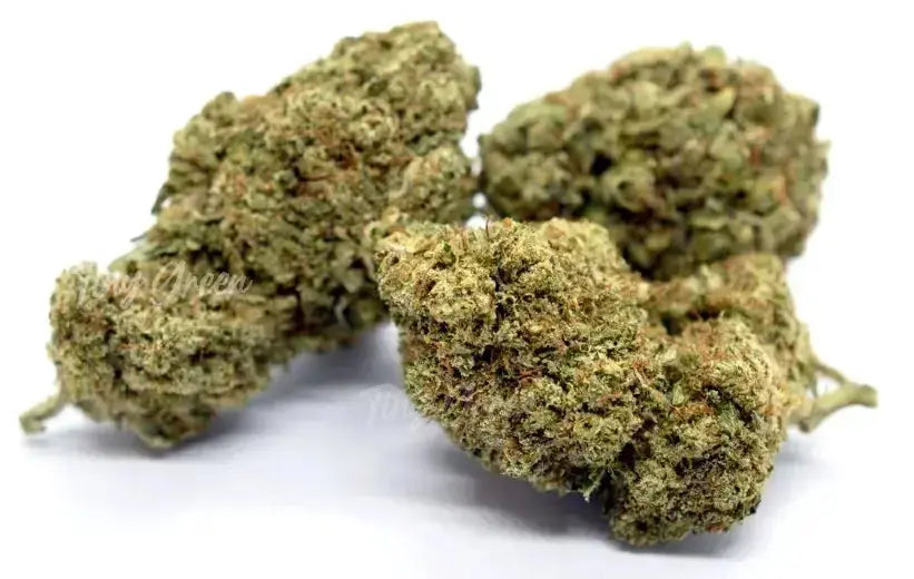 Titre produit, Tinygreen, Yvedon, CBD, Suisse, vape