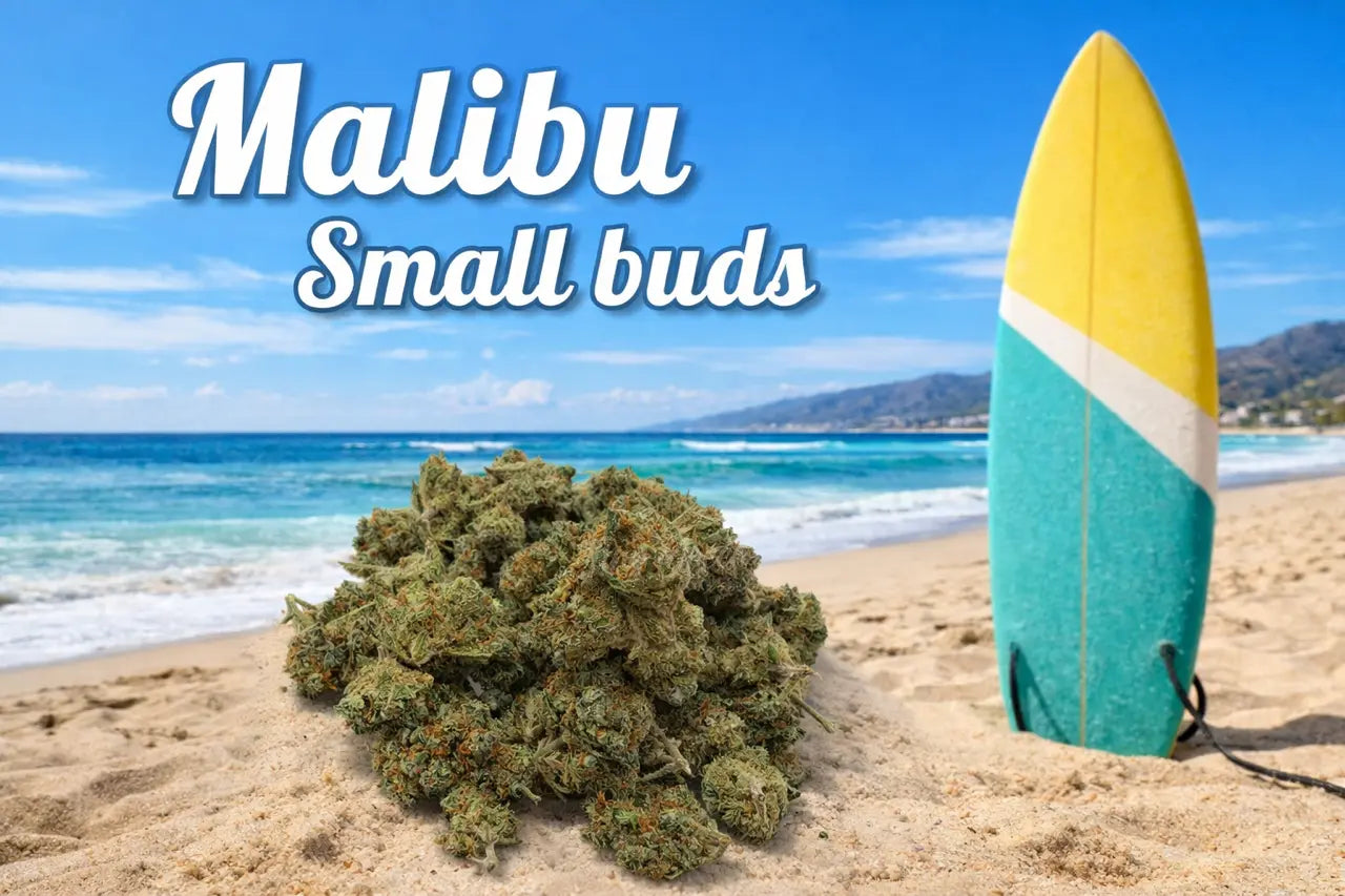 Titre produit, Tinygreen, Yvedon, CBD, Suisse, vape, Lausanne, puffs, 