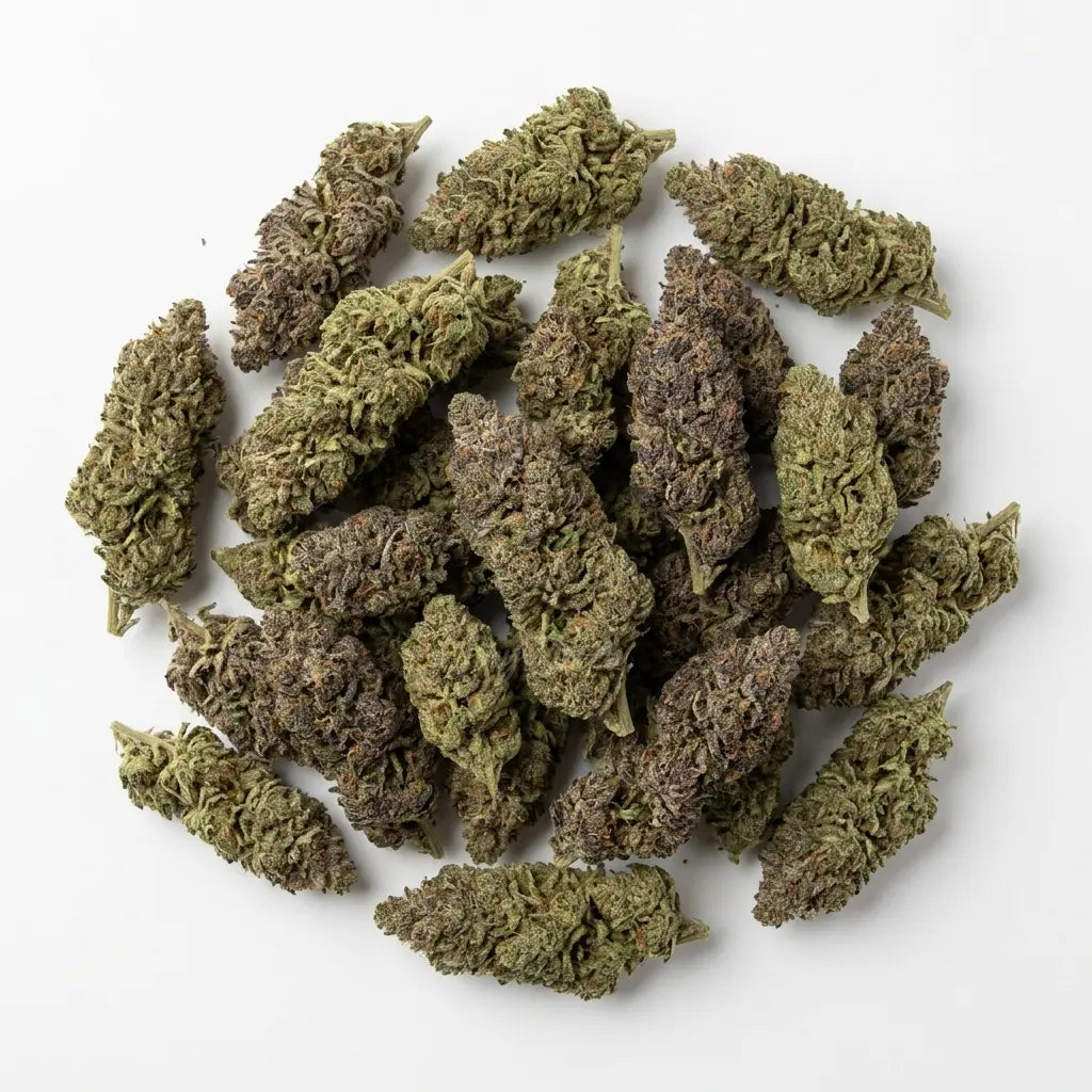 Tiny Mix Premium Tiny Green vue dessus
