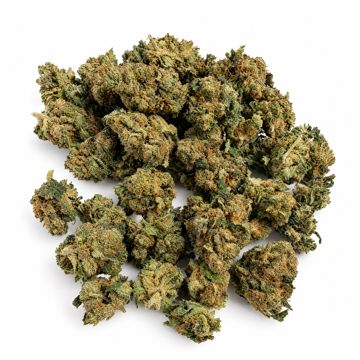 Têtes de fleur de CBD Critical Berry sur fond blanc – Tiny Green