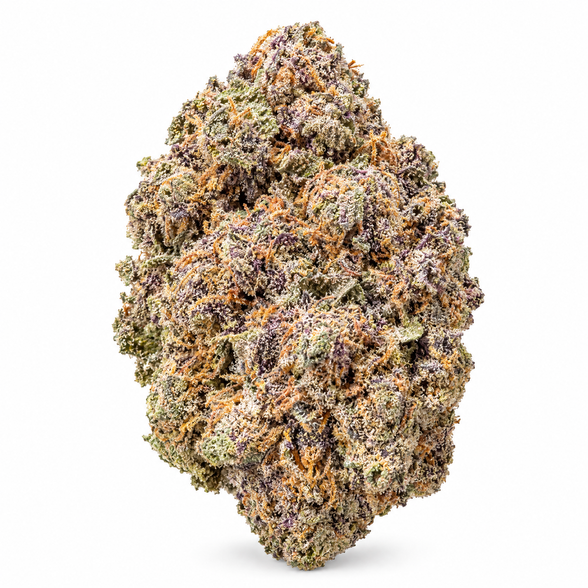 Gros plan macro d'une tête de CBD Maui Lux – Tiny Green